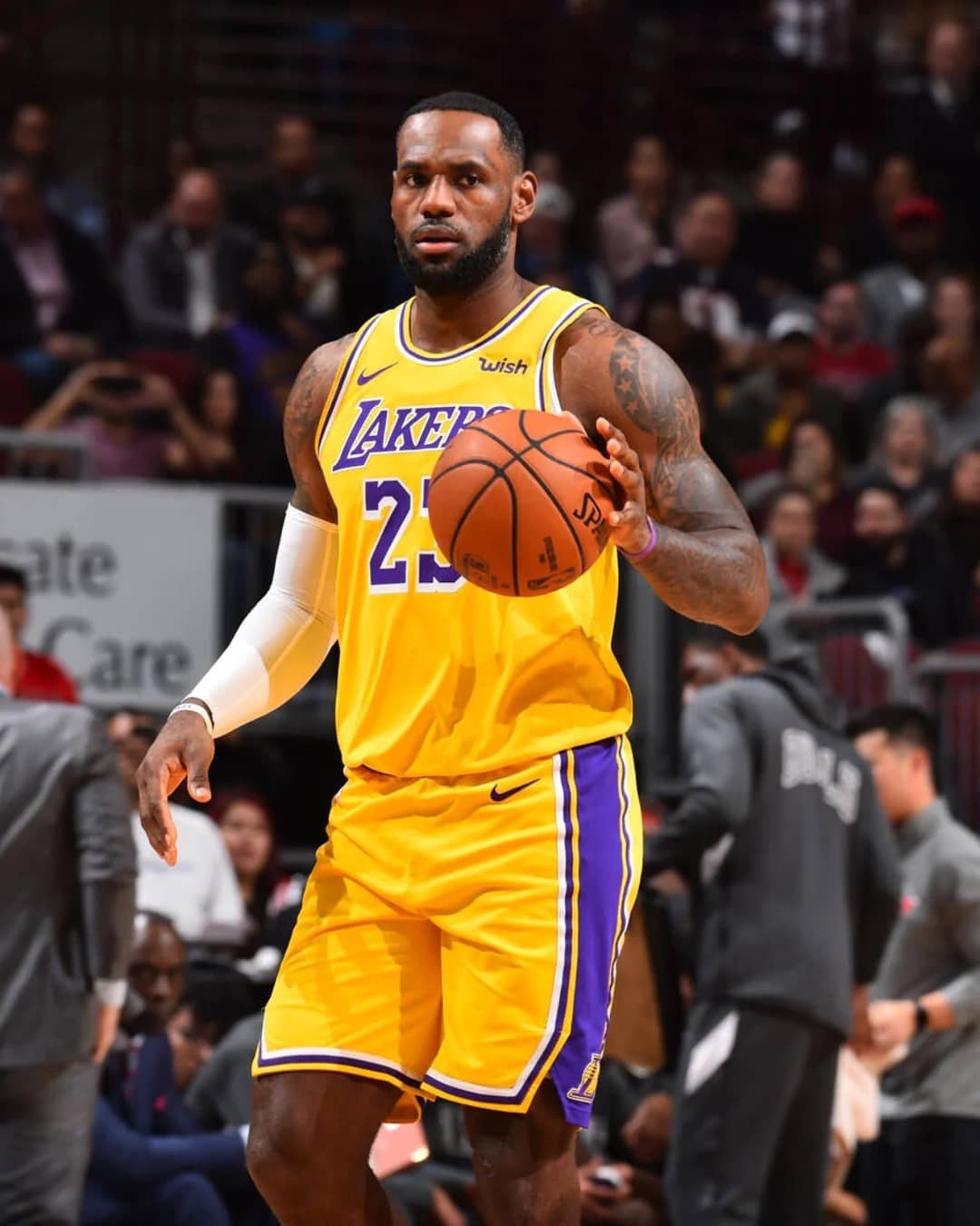 若荷兰率先 若荷兰率先